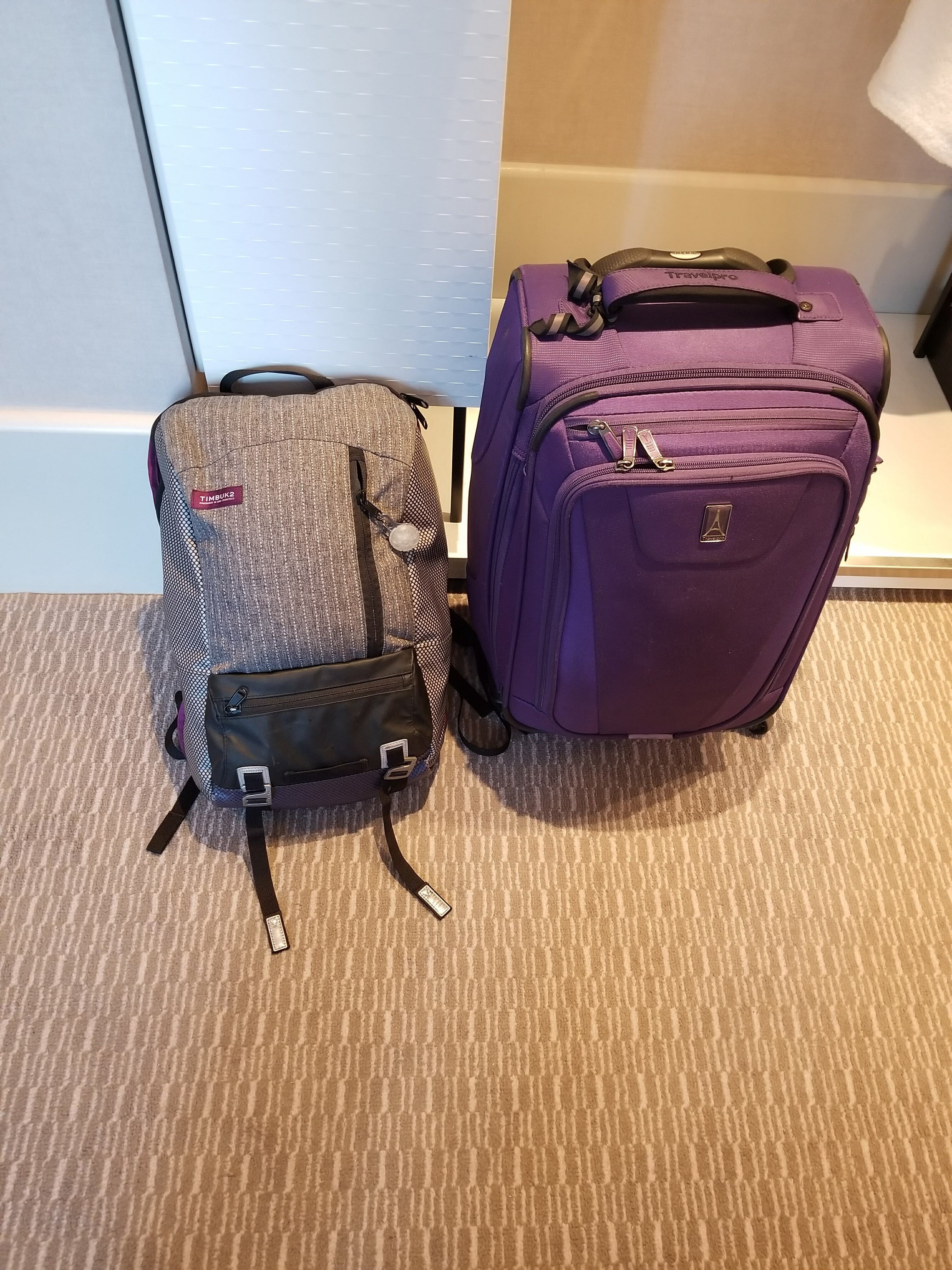 One medium-sized backpack, one 22-inch suitcase