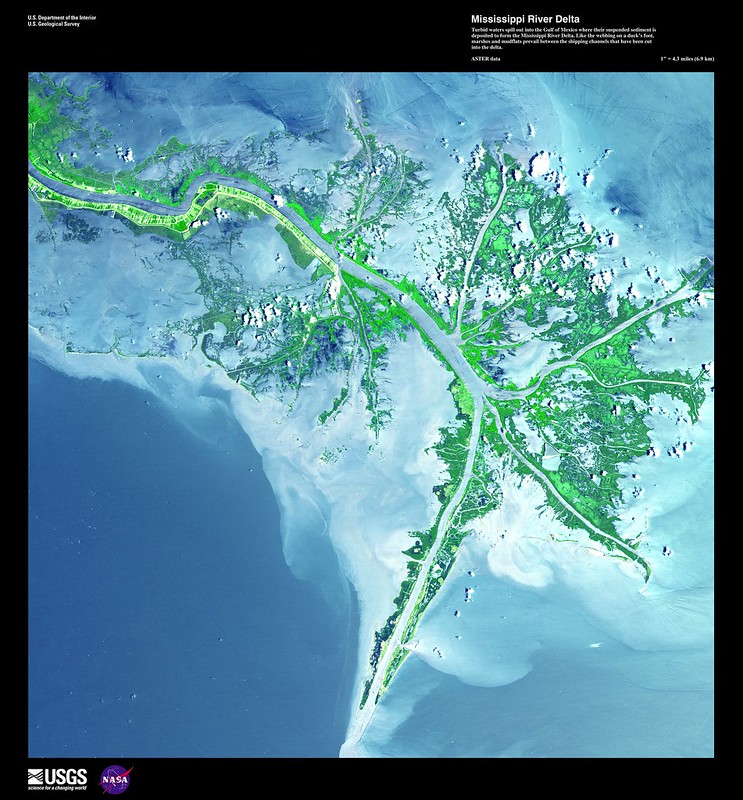 "Turbid waters spill out into the Gulf of Mexico where their suspended sediment is deposited to form the Mississippi River Delta. Like the webbing on a duck's foot, marshes and mudflats prevail between the shipping channels that have been cut into the delta."