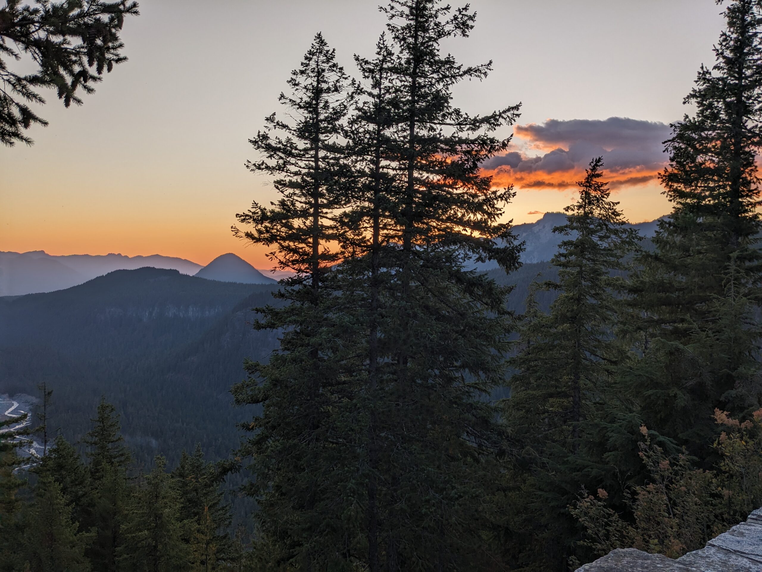 A view of mountains at sunset, with some pines in the foreground